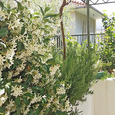 Poolside Paradise - A Hidden Gem In *