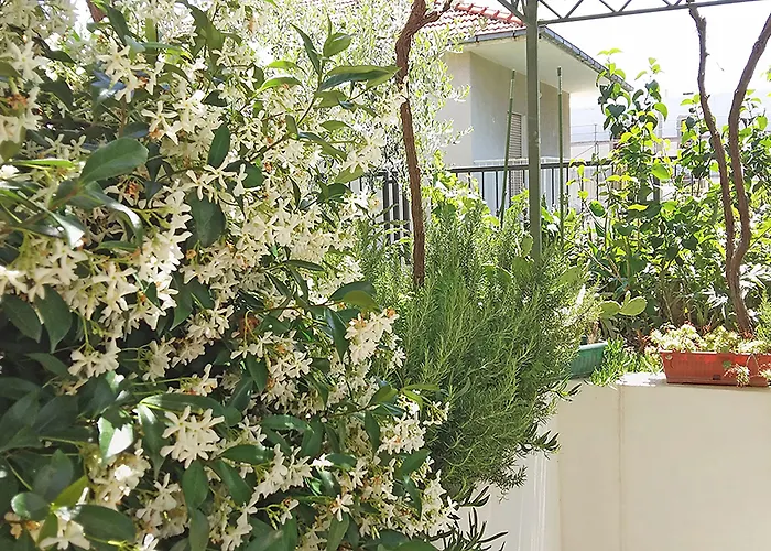 Poolside Paradise - A Hidden Gem In *