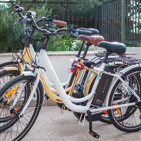 Poolside Paradise - A Hidden Gem In