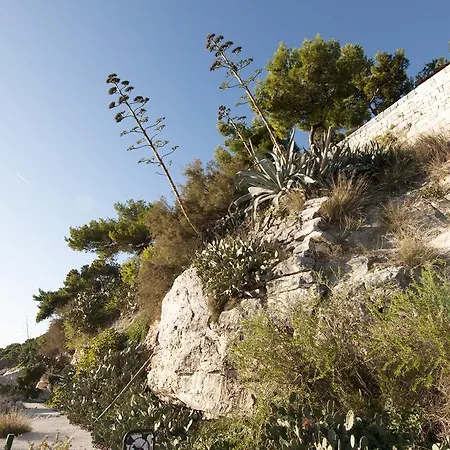 Poolside Paradise - A Hidden Gem In Σπλιτ