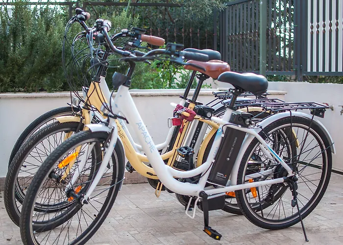 Poolside Paradise - A Hidden Gem In